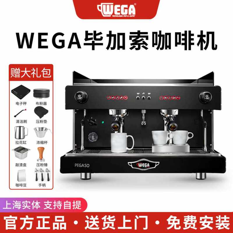 Wega Pegaso Picasso Coffee Machine Dual-Head E61 Professional Italian Semi-Automatic Tall Cup Electric Control Extraction Commercial Use Wega Pegaso Picasso Coffee Machine Dual-Head E61 Professional Italian Semi-Automatic Tall Cup Electric Control Extraction Commercial Use