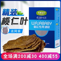 Lan Renye aquarium fish tank PH adjustment Lazy leaf acid reduction Improve water quality Leaf Lan Renye Betta