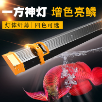 One side fish cylinder lamp lighting LED waterproof lamp full spectrum dragon fish hair color lamp Aquarium diving lamp grass cylinder lamp