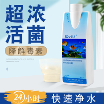 Yier nitrifying bacteria aquarium water purification agent water quality stabilizer nitrifying bacteria aquarium nitrification live water