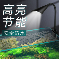Fish tank lamp aquatic straw lamp LED lamp waterproof full spectrum small spotlight mini aquarium special lighting