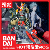 Bandai ROBOT soul EVA New Century Evangelion 2 machine changed to a new form Theater version