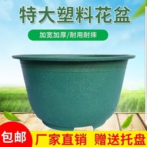 Special price thickened green dill potted flowerpot seedling pot balcony indoor round green plant plastic large flowerpot clearance