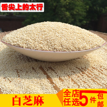 Raw white sesame seeds peeled sesame seeds new products farmhouse no bleaching sesame seeds sesame oil Baking Ingredients 250g
