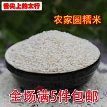 Farmhouse white glutinous rice promotion round glutinous rice rice new cooking porridge steamed rice ball dumplings 500g raw materials