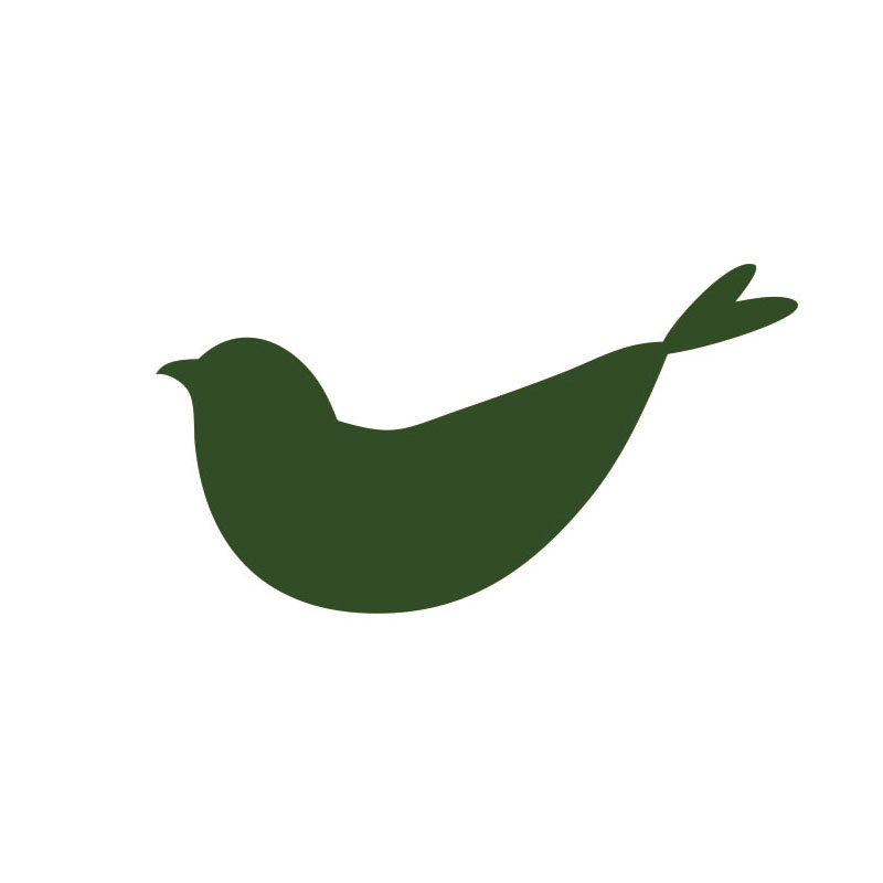 小鸟一家