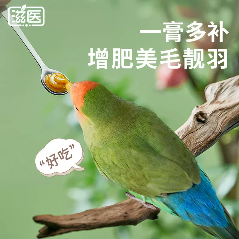 : Parrot , ,