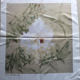 ການສະເຫນີພິເສດ Suzhou embroidery DIY ການຖັກແສ່ວຂ້າງດຽວພິມຮູບແບບ embroidery ຜ້າດອກໄມ້ peony ແລະຫຍ້າ embroidery ພູມສັນຖານໂດຍບໍ່ມີການ thread
