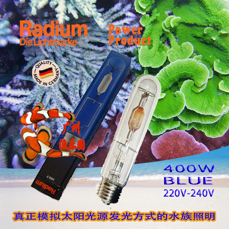 German Radium 250W 400w 20000K seawater halogen bulb RD bulbs welcome to zero