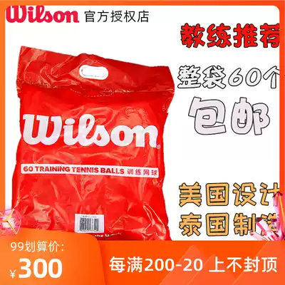 Wilson tennis training tennis bag training tennis pressuess training ball