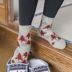Giày cao cổ ấm áp trong vớ ống mùa thu và mùa đông dày Nhật Bản vớ Giáng sinh nữ Hàn Quốc hoang dã màu retro vớ cotton thủy triều