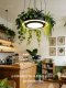Creative Circular Plant Lights for Guesthouses, Western Restaurants, Leisure Areas, Shops, Southeast Asian Offices, Sunrooms, and Forest-Style Pendant Lights
