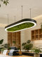 Modern Simple Oval Chandelier, Moss Lamp, Restaurant Leisure Area, Water Bar, Office Area, B&B, Shop Lighting Fixtures