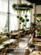 Forest-Style Plant Pendant Lights for Leisure Areas, Restaurants, Banquet Halls, Hotel Lobbies, Green Plant Landscaping, and Lobby Decorative Lighting Fixtures