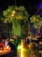 Themed Chandelier, Music Restaurant, Bar, Grill Bar, Quiet Bar, Hot Pot Restaurant, Lobby, Green Plant Decorative Light, Sunroom Plant Light