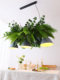Forest-Style Industrial Bar Pendant Light Southeast Asian Homestay Restaurant Thai Dessert Shop Window Sunroom Plant Light
