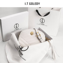  Hong Kong IT GDDLEDY camera bag womens new bag 2021 net red leather niche chain messenger bag