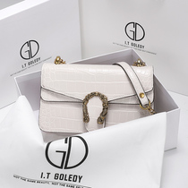  Hong Kong IT GDLEDY high-end limited Western style bacchus bag leather female 2020 new messenger chain bag