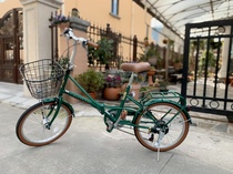 Japan TOPONE 20-inch retro variable-speed folding bicycle self-made lamp for adults children and commuting students