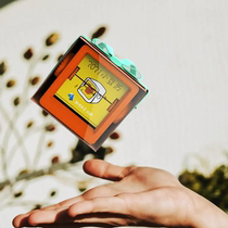 Federal Walking Horse 2021 Adzuki Bean Box Calendar