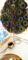 Alti Arati Pooja essentials peacock feather fan (large number double sided section)