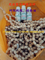 From the middle of the Holy Land of Mayapur Nemni Maimai Saint-Neem Beads-Neem Beads