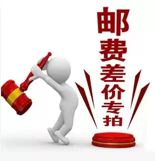 Make up logistics and freight goods Postage, freight difference, tax, invoicing fee, other goods difference, custom deposit