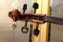 Solid wood cello upscale playing pure artisanal tiger veins matt.