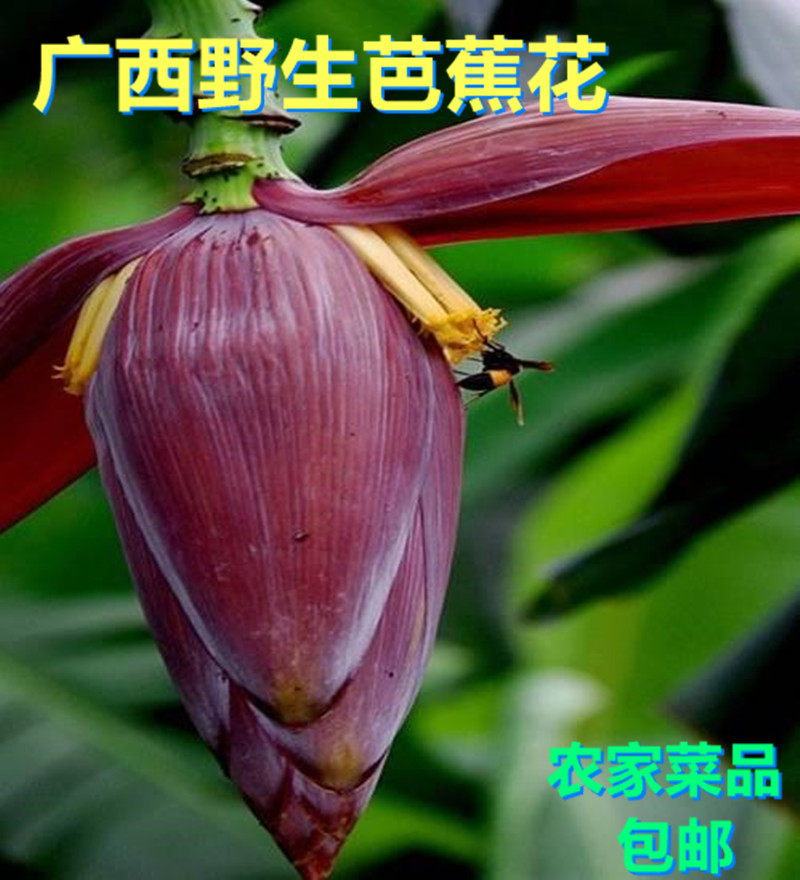 Wild plantain flowers in Dashan, Guangxi, wild ingredients, farm dishes, farm dishes before liberation