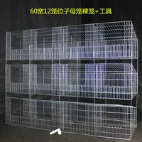 60 ширина и 12 клетка положения детской клетки Nude+инструмент