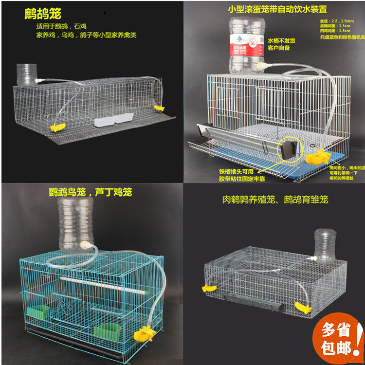 Zhiang Encrypted With Accessories Parrot Bird Cage Luding Chicken Pigeon Meat Quail Partridge Breeding Chicks Egg Cage