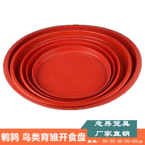 Zhiang New Products Breeding Quail Birds Breeding Special Red Stock Pan Feed Disc Breeding Trays For Chicks