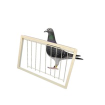 Zhiang Bird Pigeon Supplies Appliance Letter Dove Racing Pigeon Entrance Jump Gate Active Door with No Dove Cage Door Angle Iron Gate