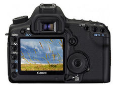 LOMO камера 南京单反出租 5d2租赁 佳能5d mark2