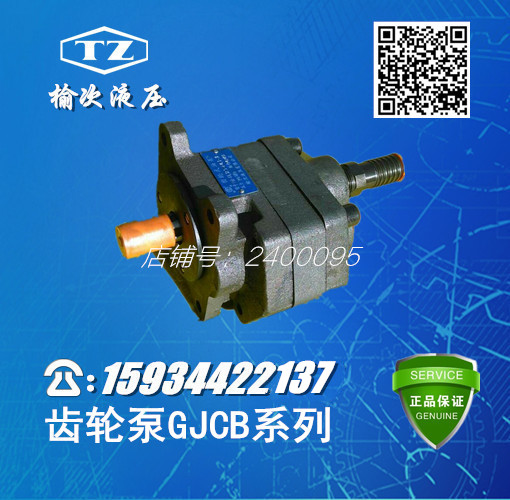 Too heavy elm hydraulic agricultural machine special gear oil pump GJCB-63-3S90 1S90-D27-G25-X electric
