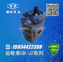 Yuci hydraulic high pressure gear oil pump CB-J2063 2080 2100-F1-1R 2R L