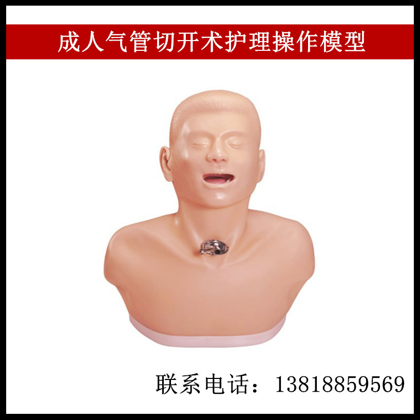 成人气管切开术护理操作模型