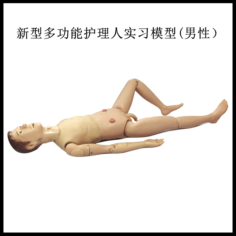 高级关节螺丝固定新型多功能护理人实习模型(男性）