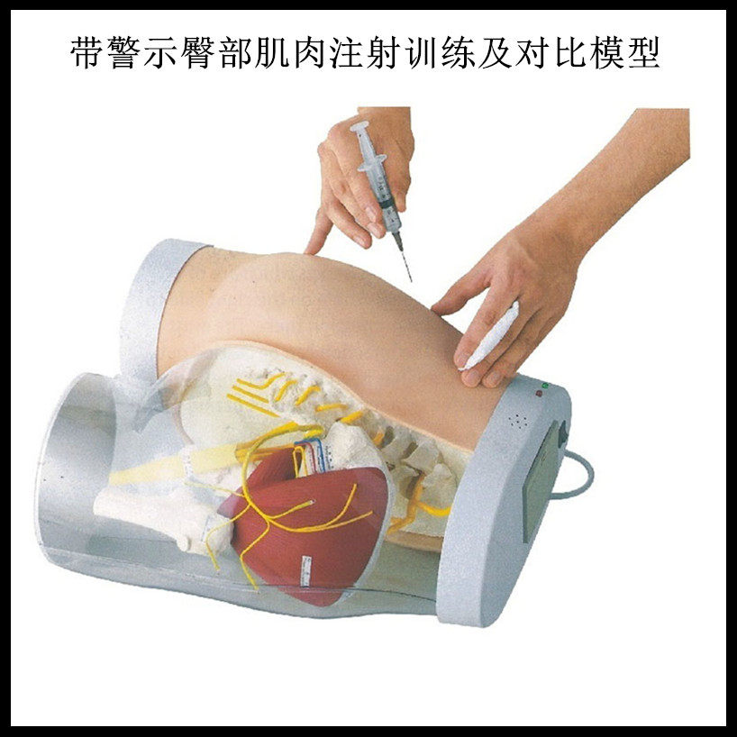 高级臀部肌肉注射训练及透明对比模型(带检测警示系统) 臀部注射