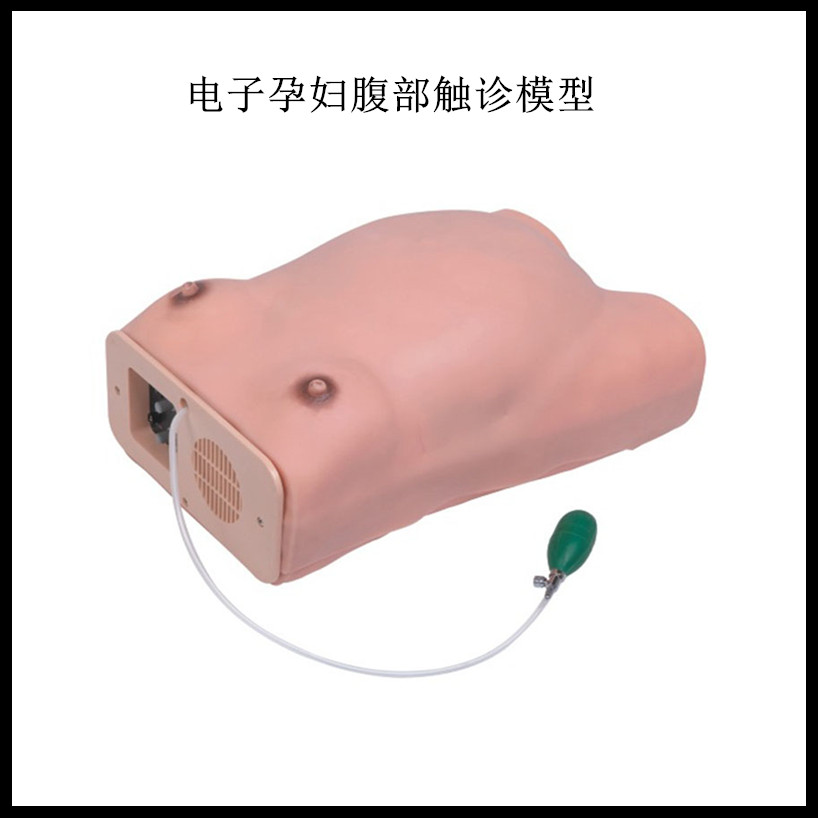 高级电脑孕妇检查模型,电子孕妇腹部触诊模型