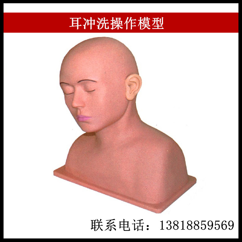 耳冲洗操作模型