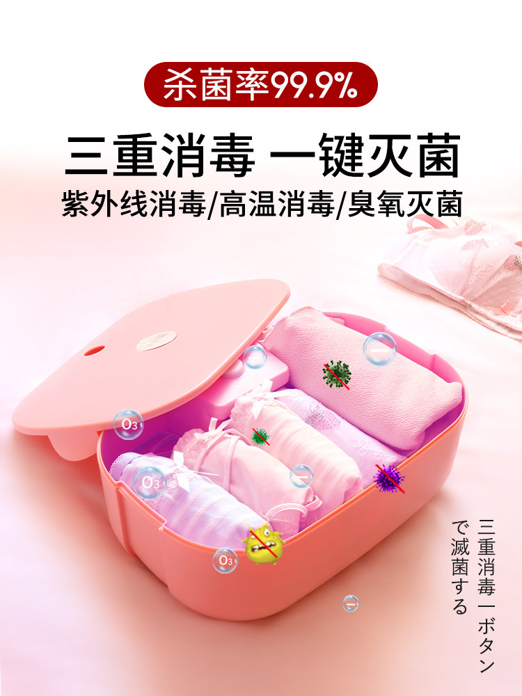 Shake sound mini dryer Fruit dicing household drying Travel business trip portable underwear disinfection sterilization storage drying box