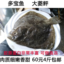 New arrival) Fresh Dabao fish turbot flounder flounder flatfish partial fish 4kg