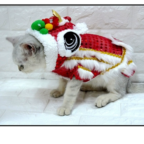 Кошачья одежда смешная и забавная зимняя танце