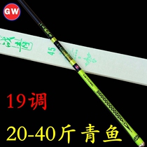 Guangwei big thing rod battle green 20-50 pounds 6H19 transfer platform fishing rod carbon super hard black pit sturgeon herring rod hand rod