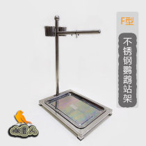 Stainless steel parrot cage Birdcage bird stand parrot rack big feiel Amazon Alexander monk parrot stand F-type