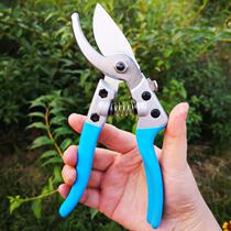 Fruit tree pruning shears scissors gardening scissors fruit branch scissors labor-saving pruning shears branch scissors garden tools