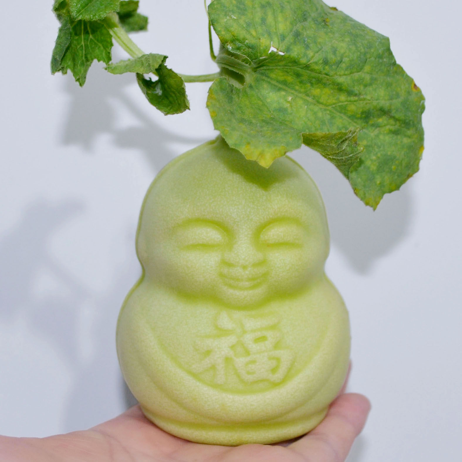 Fruit shaping growth mold ginseng fruit mold gourd forming mold melon square watermelon mold