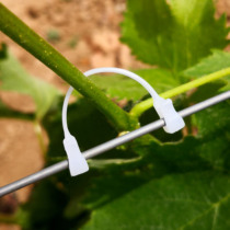 Grape tie branch card tie grape buckle kiwi fruit tie card grape tie Vine card farm tie Vine card farm tie grape adhesive hook