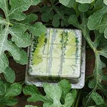 Square watermelon shape growth mold heart-shaped watermelon mold watermelon shape growth mold ginseng fruit mold